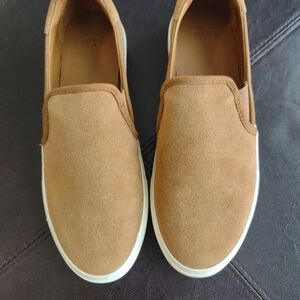 UGG ALAMEDA Slip on Suede Sneakers